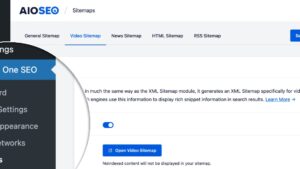 AIOSEO – Video Sitemap v1.1.24