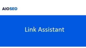 AIOSEO (v1.1.4) Link Assistant
