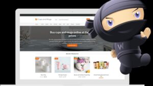 Updated* AliDropship Woo Plugin v1.6.48