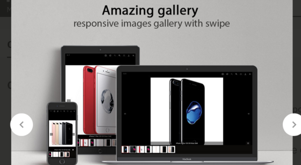 Amazing gallery responsive images gallery + Zoom v1.4.2