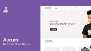 Aurum (v4.0.9) Minimalist Shopping Theme