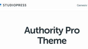Authority Pro Theme Package v1.5.2