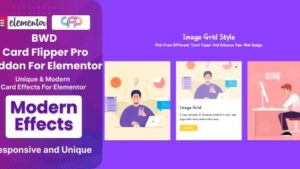 BWD Card Flipper Pro Addon For Elementor v1.0