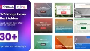 BWD iHover effect for Elementor v1.0