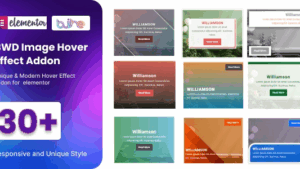 BWD Image Hover Effect addon for elementor v1.0