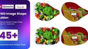 BWD Image Shape for elementor v1.0