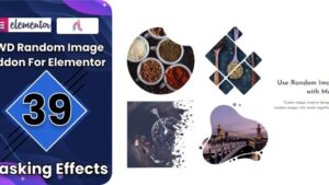 BWD Random Image Addon For Elementor v1.6