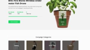 Fixed* Backer (v1.1.10) The ultimate crowdfunding and fundraising WordPress Theme