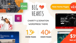 BigHearts (v3.1.9) Charity & Donation WordPress Theme [Activated]