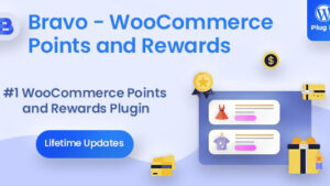 [Activated] Bravo (v2.5.8) WooCommerce Points and Rewards