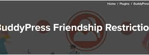 BuddyPress Friendship Restrictions (v1.1.6)