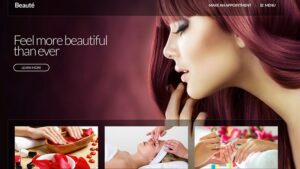 CSS Igniter Beaute v2.0.6 WordPress Theme