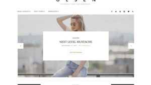 CSS Igniter Olsen Pro v2.8.5 WordPress Theme
