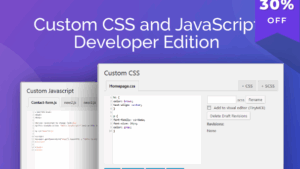 Custom CSS and JavaScript Developer Edition v1.0.22 [Wp Zone]