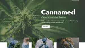 Cannamed v1.0.5 Cannabis & Marijuana WordPress