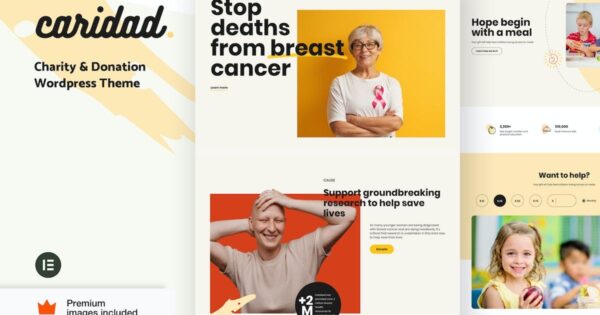 Caridad (v18.0) Charity WordPress [Activated]