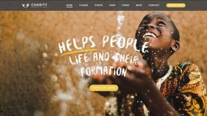 Charity Foundation v3.0 Charity Hub WP Theme