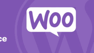 Hide Shipping Method For WooCommerce Pro [theDotstore] Updated v.1.4.1