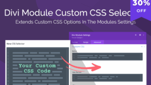 Divi Module Custom CSS Selectors v1.0.3 [Wpzone]