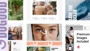 DoGood (v1.1) Charity & Nonprofit Theme