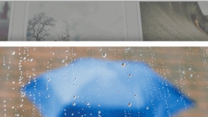 Easy FancyBox – Pro v1.9.1