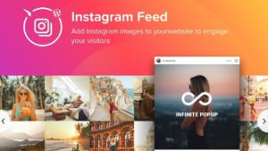 Elfsight Instagram Feed v4.0.3 WordPress Instagram Plugin