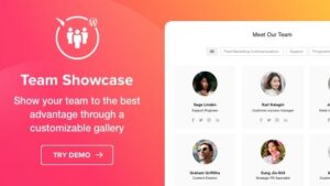 Elfsight Team Showcase v1.3.1 - WordPress Team Showcase plugin
