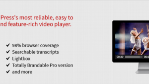 FV Flowplayer Video Player Pro v8.0.18