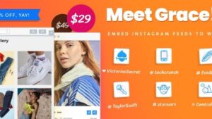 Grace v1.2.8 WordPress Photo Feed of Instagram Posts