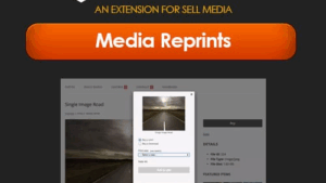 Graph Paper Press Sell Media Reprints v2.2.1