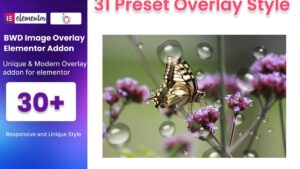 Image Overlay For Elementor v1.0