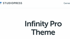 StudioPress Infinity Pro Genesis WordPress Theme v1.3.3