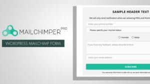 MailChimper PRO v1.8.3.4 WordPress MailChimp Signup Form Plugin