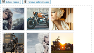 Meta slider and Carousel with Lightbox Pro v.1.5.1 [by WpOnlineSupport]
