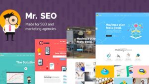 Mr. SEO v2.1 Social Media Marketing Agency Theme