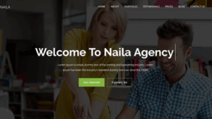 Naila v1.0 - One Page MultiPurpose WordPress Theme