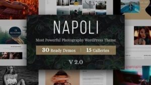Napoli v2.4.2 Photography WordPress