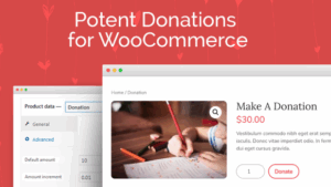 Potent Donations For Woocommerce v1.1.12 [Wp Zone]