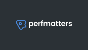 Perfmatters (v2.4.9) Lightweight WordPress Performance Plugin [Activated]