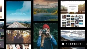 Photography WordPress v7.7.7 (Activated)