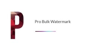 Pro Bulk Watermark Plugin for WordPress v2.0
