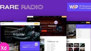 Rare Radio (v1.0.15.1) Online Music Radio Station & Podcast WordPress Theme [Activated]