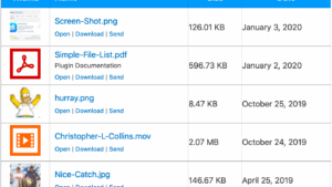 Simple File List Pro v6.1.10