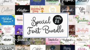 Special Font Bundle Includes 39 Fonts 2022-09-27