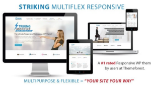 Striking (v2.4.6) MultiFlex & Ecommerce Responsive WP Theme