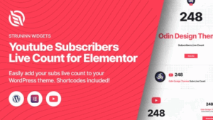 Struninn v1.0.1 Youtube Subscribers Live Count