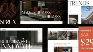 Strux (v1.10.0) Architecture & Interior Design WordPress Theme (Activated)