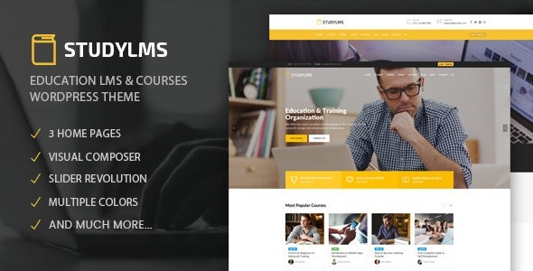Studylms v1.29 Education LMS & Courses WordPress Theme