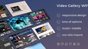 Video Gallery v12.40 Wordpress Plugin/w YouTube, Vimeo, Facebook pages