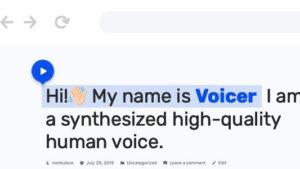 Voicer v3.3.0 Text to Speech Plugin for WordPress [Activated]